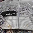 قفص طيور
