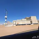 تطعيمت اسمنتي بديل الحجر