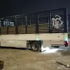 سته ونص جده