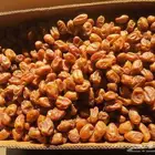 اخلاص جامبو نظيف مقما السومه 20