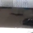 شاشة جنرال أصلية 32 بوصة جديده