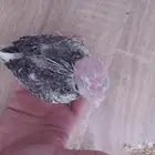 فرخ كروان مجنون غر الصحة شرط