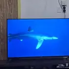 شاشة هاير 55 سمارت حديثة بها كافة برامج التواصل الاجتماعي