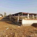 شبك حيوانات وطيور