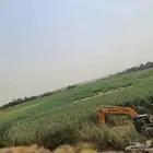 بكلين للايجار
