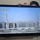 القصيم البكيريه