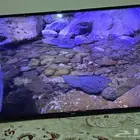 شاشه ال جي سمارة 49 بوصه