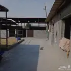 للبيع مربط   اسطبل خيل