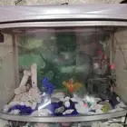 حوض سمك جديد مع اغراضه