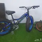 سيكل جبلي 24 وسيكل فراشة 16