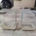 شبوك طيور العدد 4