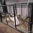 للبيع حضائر او حواجز او فواصل للحيوانات