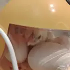 فقاسة صغيرة
