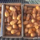 صفري بيشه حبه كبير جامبو توصيل إلى المنزل في خميس مشيط