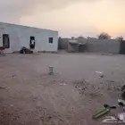 حوش في الخمره القوزين