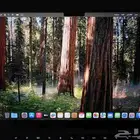 MacBook s MacBook Pro m4 للبيع