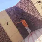 ديكورات اصباغ شيبور الا حساء