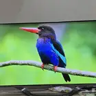 شاشة LG سمارت 50 بوصه