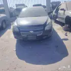 مالو تشليح فقط