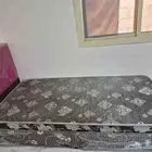 القصواء امام حياكه نوف