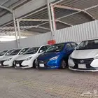 شانجان السفن 2022  2023