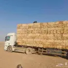 ذره شاميه حبشيه شد جندير تبوك