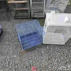 اقفاص للبيع