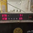 فقاسة دانة التميز 1232 بيضه للبيع