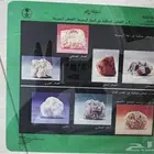 صور قديمه وغير محمضه