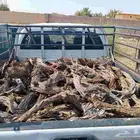 مسحه صندوق