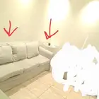 كنب ايكيا 3 مقاعد يبغى لها غسيل لون رمادي مع الطاولة وستارة