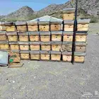 للبيع خلايا فرنجي مستخدمة مثل ماهوا في أصورة 8 برواز