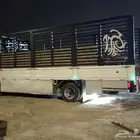 سته ونص محايل النماص