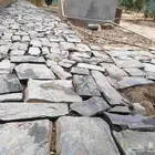ربراب الباحه بني حسن بهر نخال بني سار