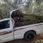 فسايل نخل للبيع