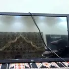 شاشة hp 43 بوصة