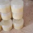 دهنة الحنظل ل آلام الركب والمفاصل