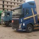 لوبد في جيزان