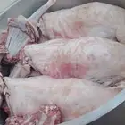 طباخ متنقل داخل وخارج الرياض جريش قرصان أيدمات قهوجي وصبابين