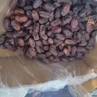 السلام عليكم يوجد لدينا خضر ي فاخر
