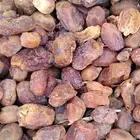 تمر علف نفيع للحلال من الموسم الحالي