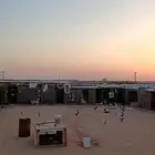 للتقبيل حوش مجهز للدواجن