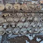 للبيع عدد عشه حمام فرنسي ابيض