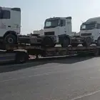 لوبد في جيزان