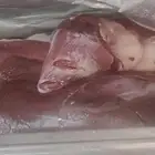 كبده حاشي طازجه بلدي كبده لحم متوفره بشكل يومي