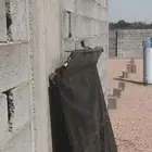 طبق او غطا ددسن