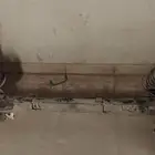 قطع غيار النترا