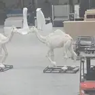احجز نسختك الان عروض يوم التاسيس
