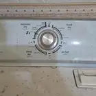 القطيف العوامية