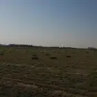 بلو بنك عود ناعم وشد طيب .